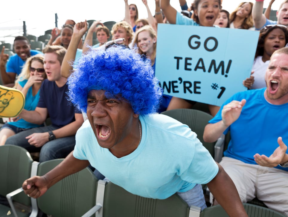 Fans at Sporting Event